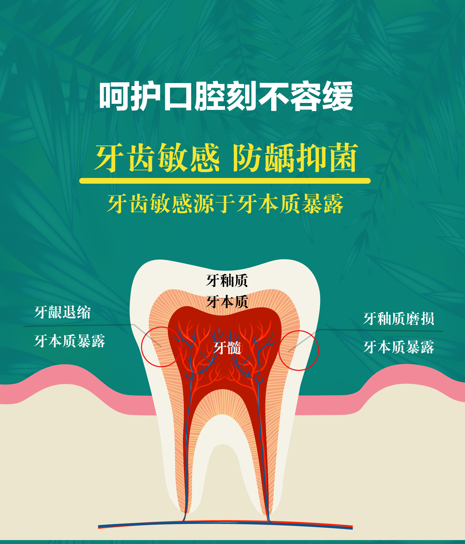 成人防蛀脱敏医用牙膏牙齿脱敏剂口腔脱敏膏源头厂家(图3)